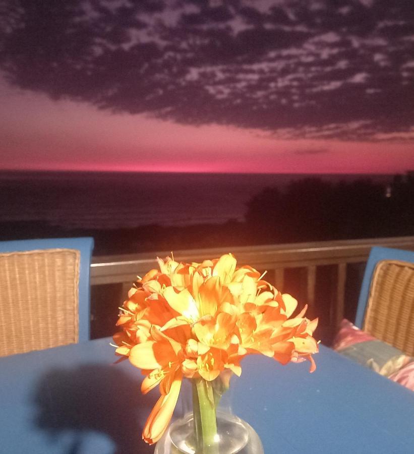 דירות קייפטאון Mussel Beach Holiday Lets מראה חיצוני תמונה